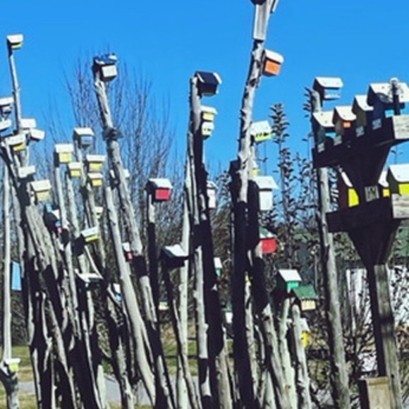 200-300- -Women Clothing-  08/20/25 at 4:30 pm est - Picture 5 of 13